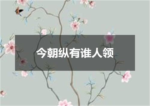 今朝纵有谁人领