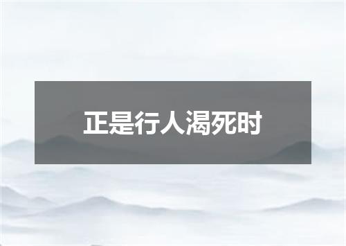 正是行人渴死时