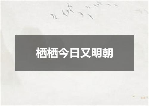栖栖今日又明朝