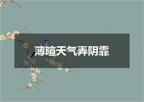 薄暄天气弄阴霏