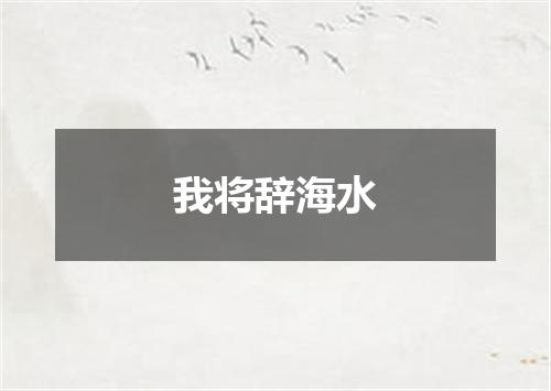 我将辞海水