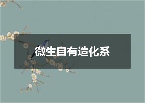 微生自有造化系