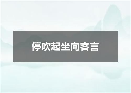 停吹起坐向客言