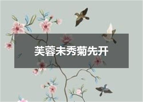 芙蓉未秀菊先开