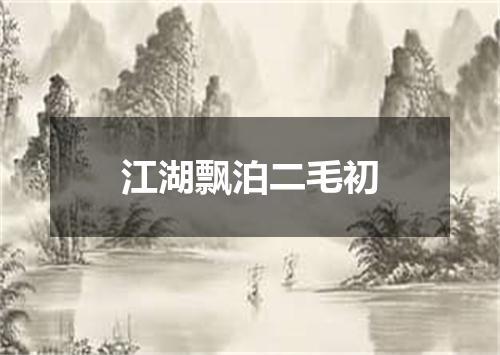 江湖飘泊二毛初