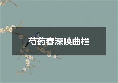 芍药春深映曲栏