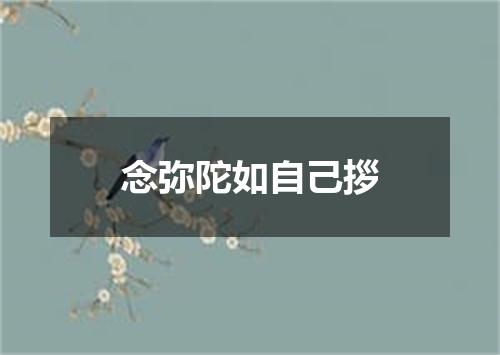 念弥陀如自己拶