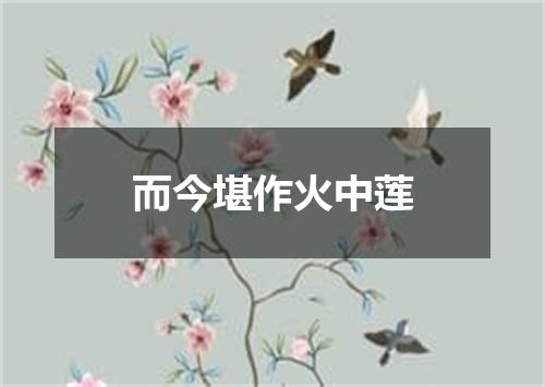而今堪作火中莲