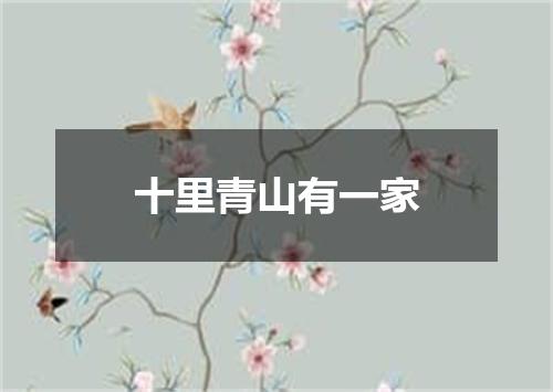 十里青山有一家