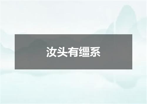 汝头有缰系