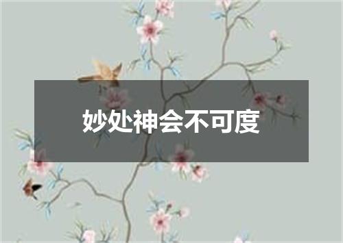 妙处神会不可度