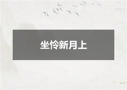 坐怜新月上