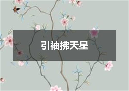 引袖拂天星