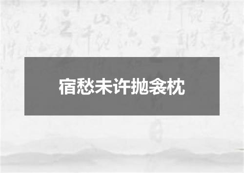 宿愁未许抛衾枕