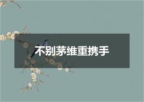 不别茅维重携手