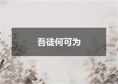 吾徒何可为