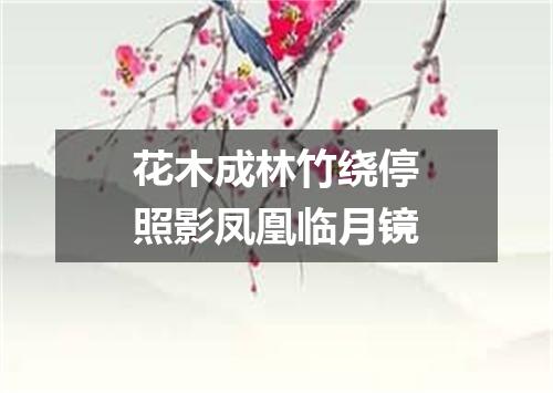 花木成林竹绕停照影凤凰临月镜