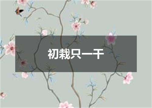 初栽只一干