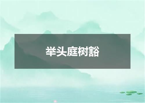 举头庭树豁