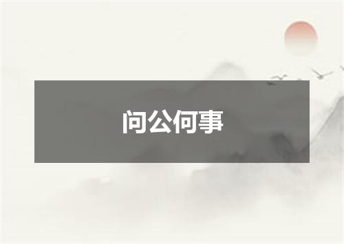 问公何事