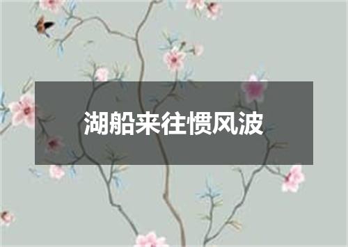 湖船来往惯风波