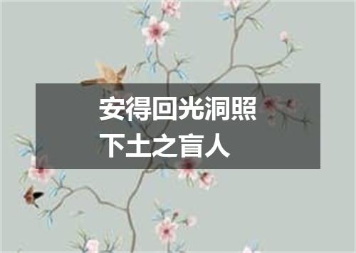 安得回光洞照下土之盲人