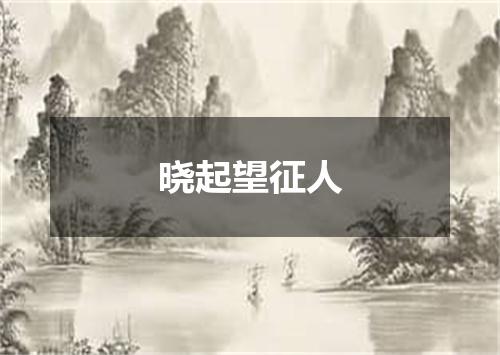 晓起望征人