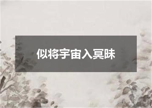 似将宇宙入冥昧