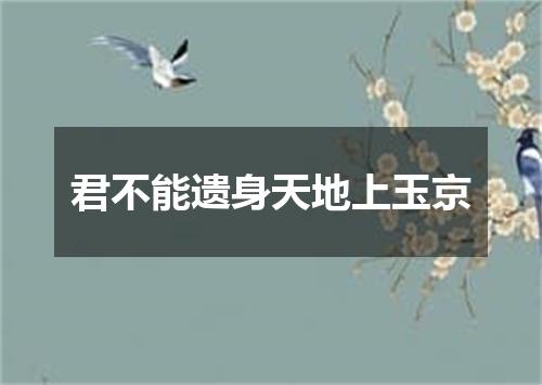 君不能遗身天地上玉京