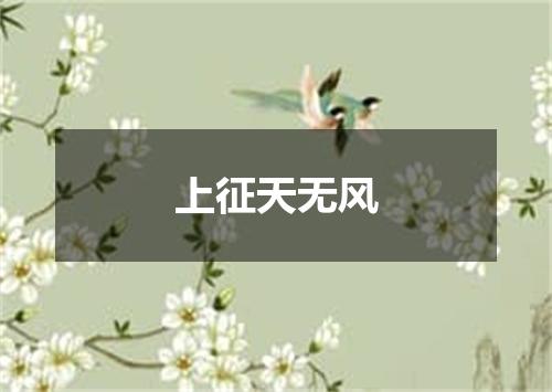 上征天无风