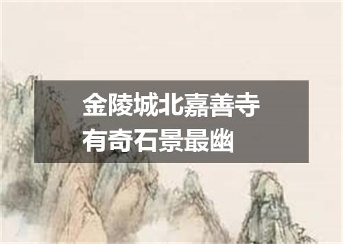 金陵城北嘉善寺有奇石景最幽