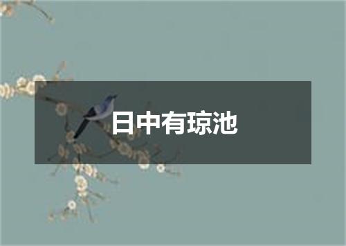 日中有琼池