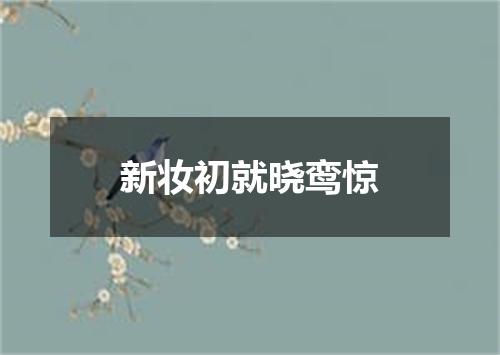 新妆初就晓鸾惊
