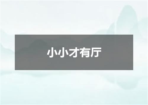 小小才有厅