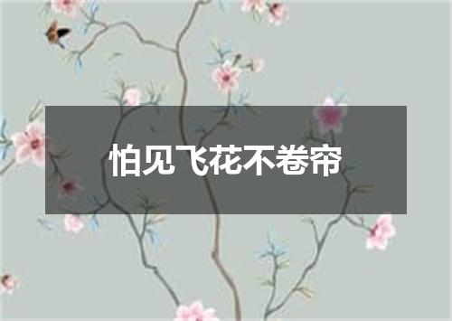 怕见飞花不卷帘