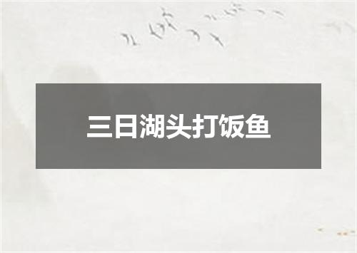 三日湖头打饭鱼