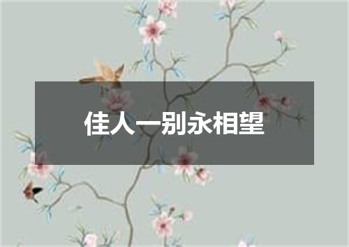 佳人一别永相望