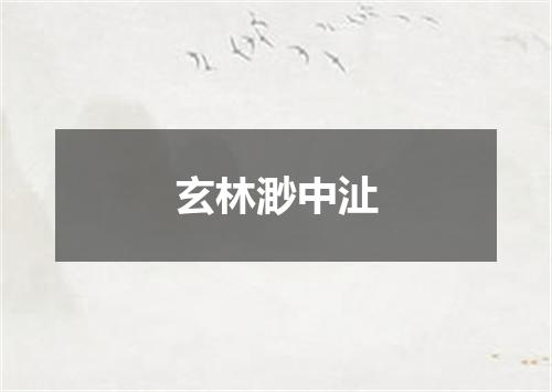 玄林渺中沚