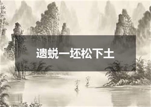 遗蜕一坯松下土