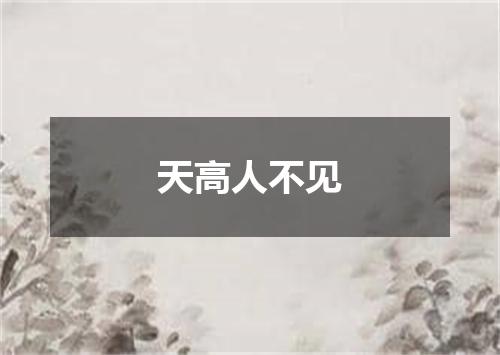 天高人不见