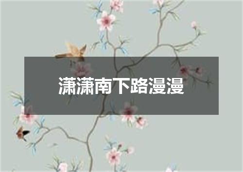 潇潇南下路漫漫