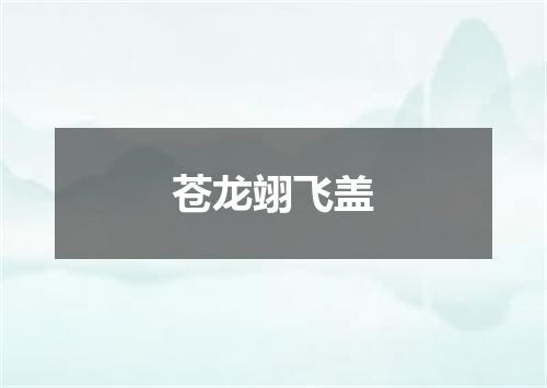 苍龙翊飞盖