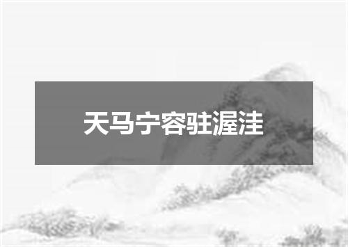 天马宁容驻渥洼