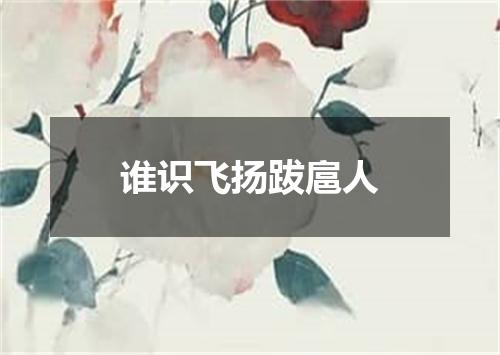 谁识飞扬跋扈人