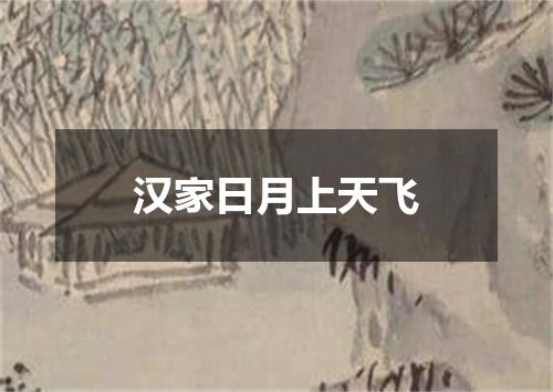 汉家日月上天飞