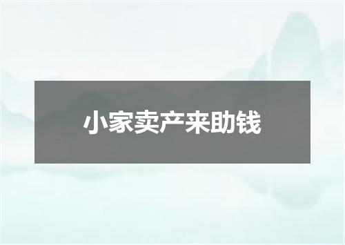 小家卖产来助钱