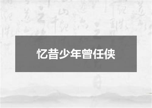 忆昔少年曾任侠