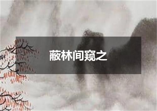 蔽林间窥之
