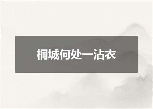 桐城何处一沾衣