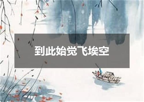 到此始觉飞埃空